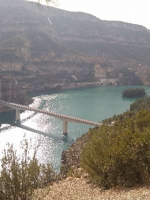 Cortes de Pallas