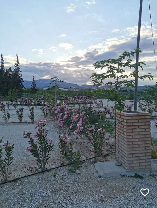Añadió una foto a una ubicación