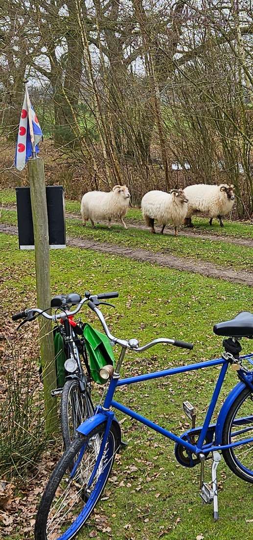 Een foto toegevoegd aan een locatie