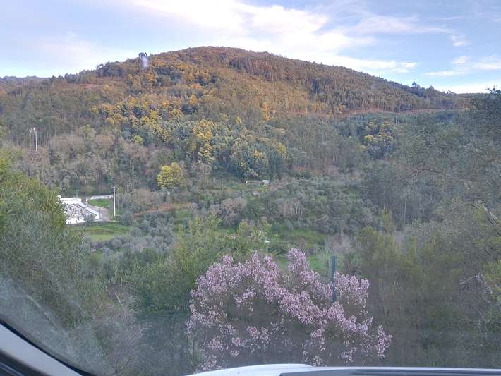 Góis Camping 