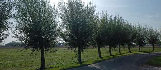 Een foto toegevoegd aan een locatie