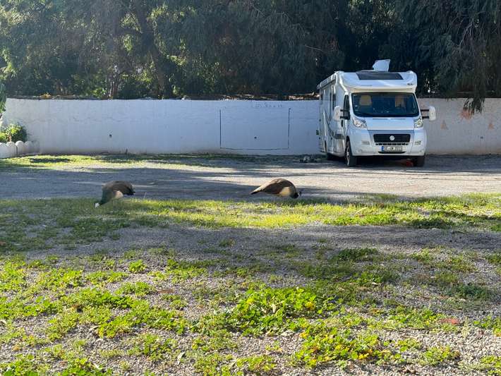 Camping L'Amazone
