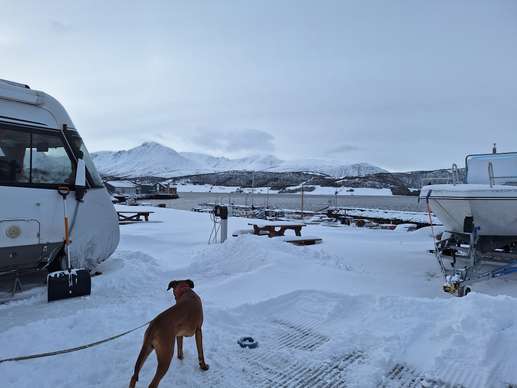 Added a photo to a location