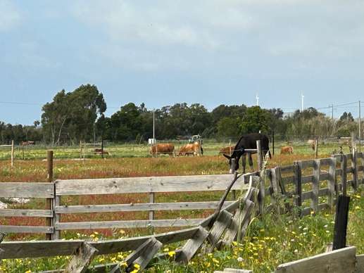 Added a photo to a location