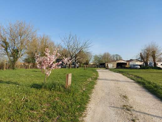 Added a photo to a location