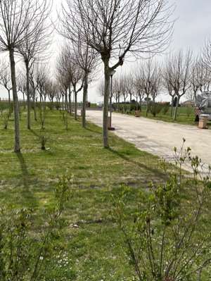 Ajout d'une photo à un emplacement