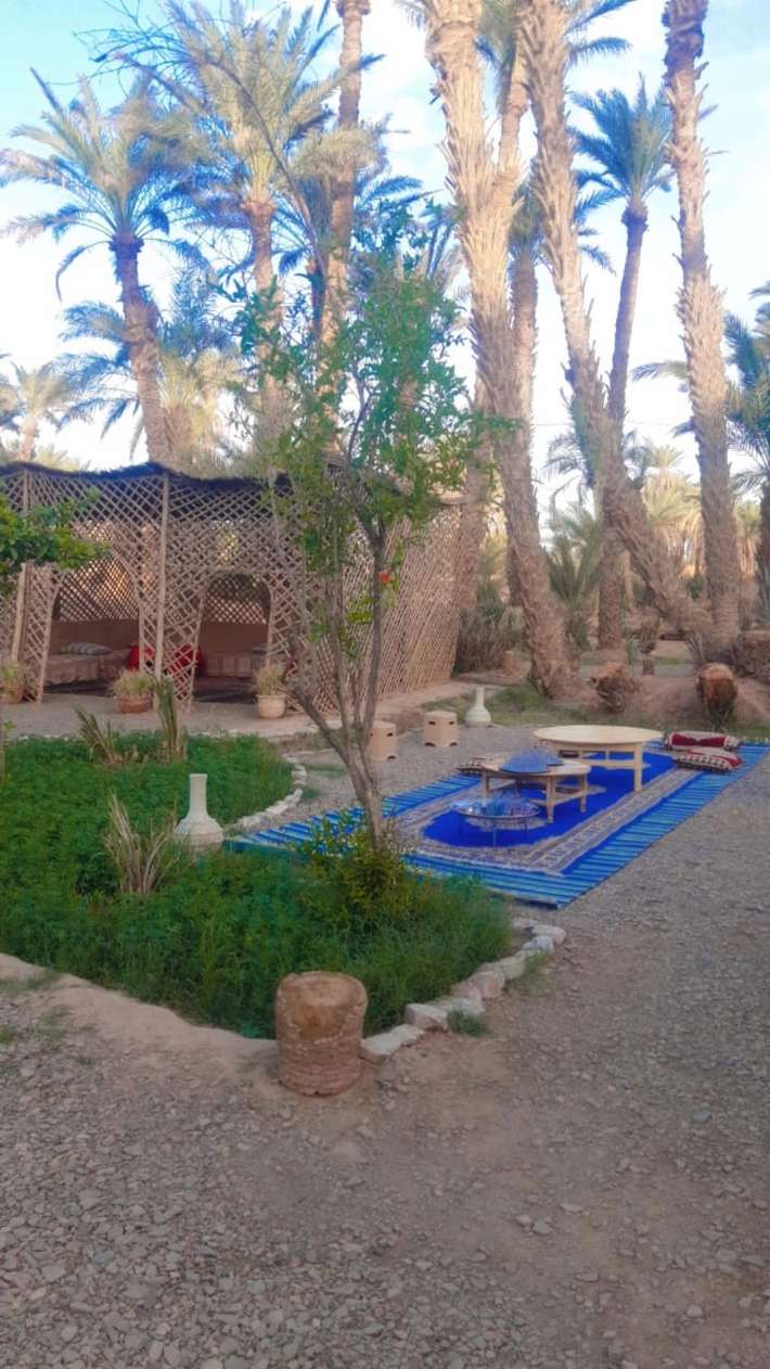 Camping Oued Draa
