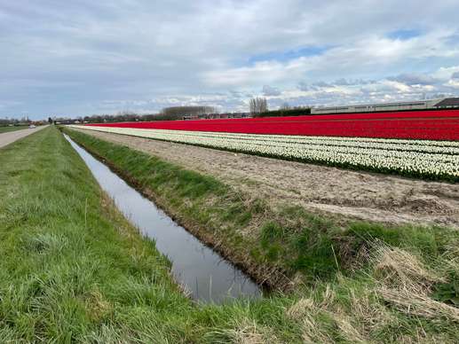 Een foto toegevoegd aan een locatie
