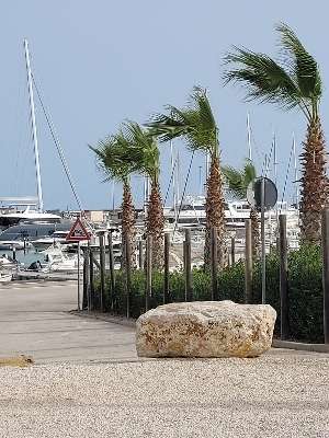 Added a photo to a location