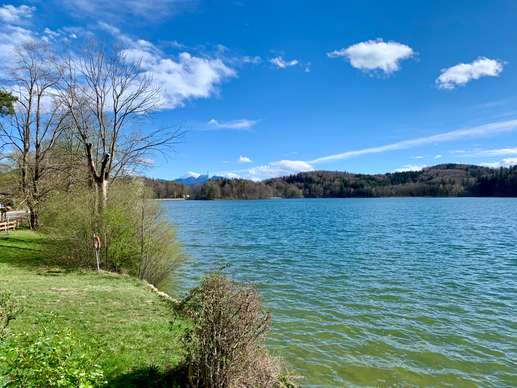 Added a photo to a location