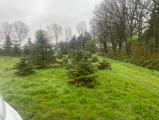 Een foto toegevoegd aan een locatie