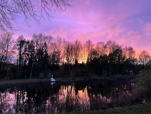 Een foto toegevoegd aan een locatie