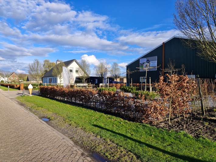 Camperplaats Mieke's Hof  