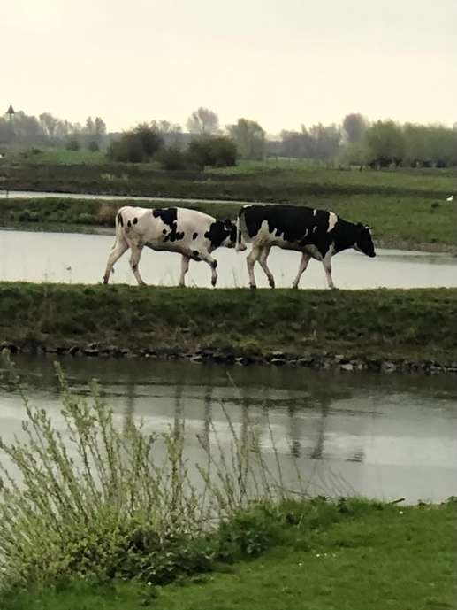 Einem Ort wurde ein Foto hinzugefügt
