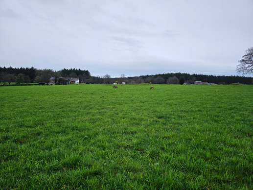 Einem Ort wurde ein Foto hinzugefügt