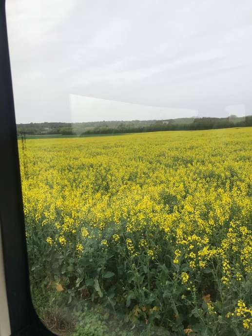 Added a photo to a location