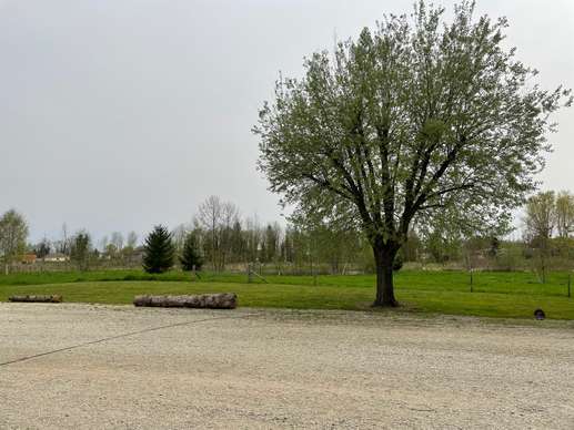 Added a photo to a location