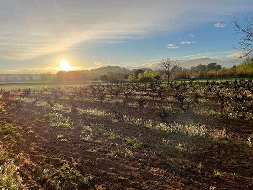Añadió una foto a una ubicación