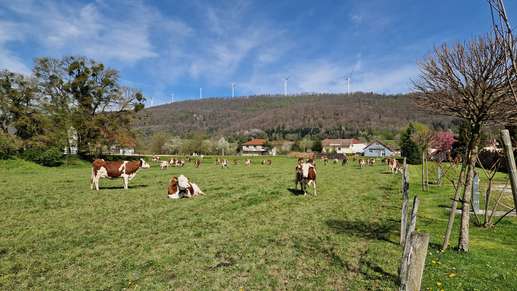 Einem Ort wurde ein Foto hinzugefügt