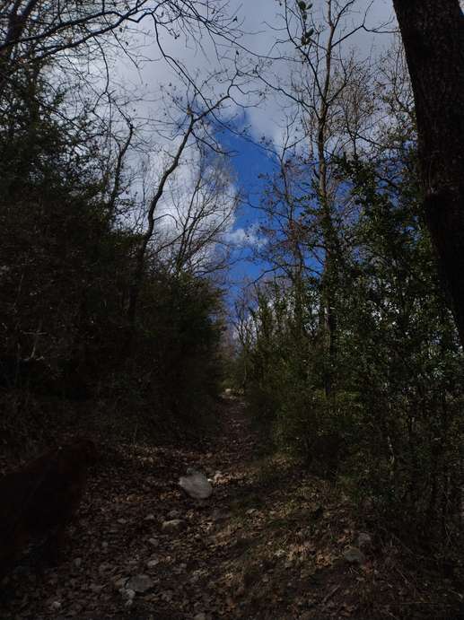 Added a photo to a location