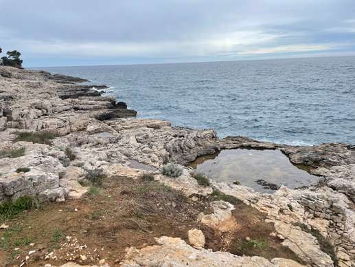 Added a photo to a location