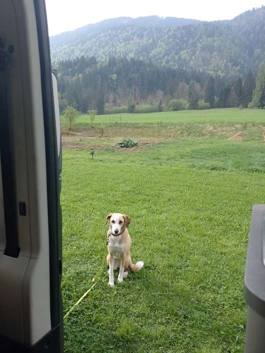 Aggiunta una foto a una posizione