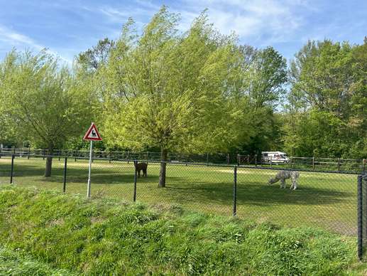 Added a photo to a location