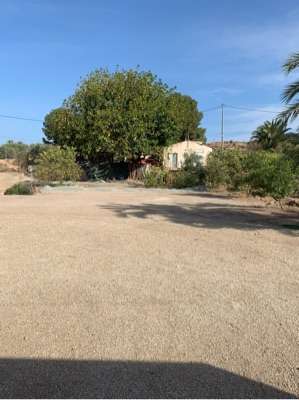 Campo Toni