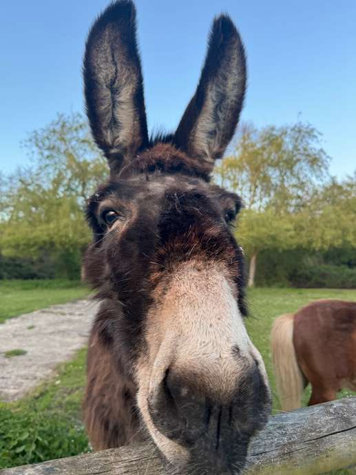 Einem Ort wurde ein Foto hinzugefügt