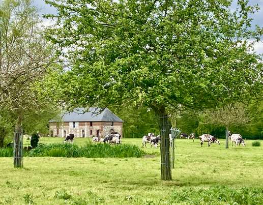 Een foto toegevoegd aan een locatie