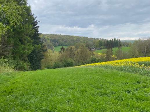 Ajout d'une photo à un emplacement