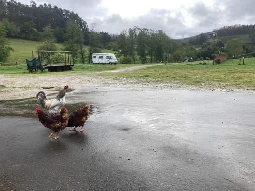 Einem Ort wurde ein Foto hinzugefügt