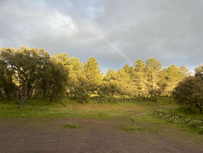 Area Recreativa “La Aliseda”