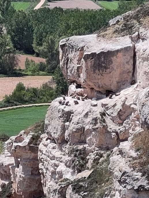 Aggiunta una foto a una posizione