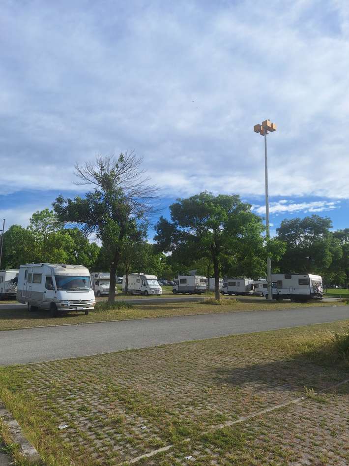 Area Comunale