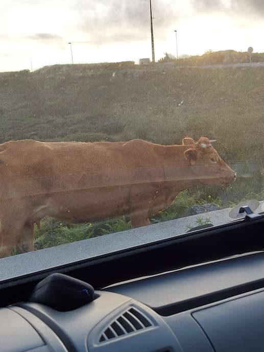Aggiunta una foto a una posizione