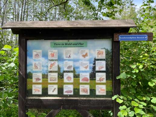 Een foto toegevoegd aan een locatie