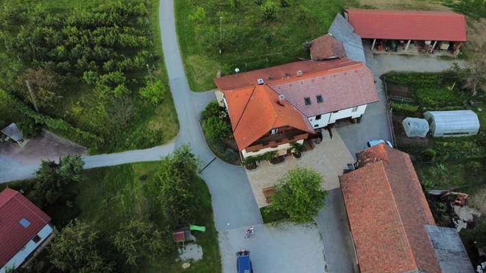 Organic winery and farm Valentan