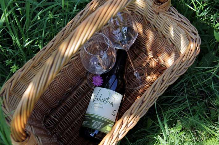 Organic winery and farm Valentan