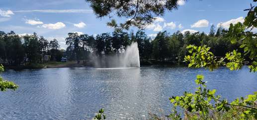 Een foto toegevoegd aan een locatie