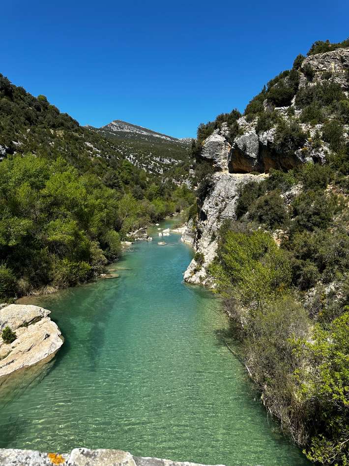 Camping El puente.