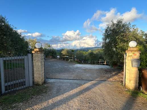 Added a photo to a location