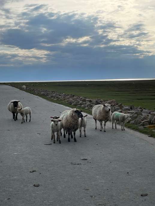 Aggiunta una foto a una posizione