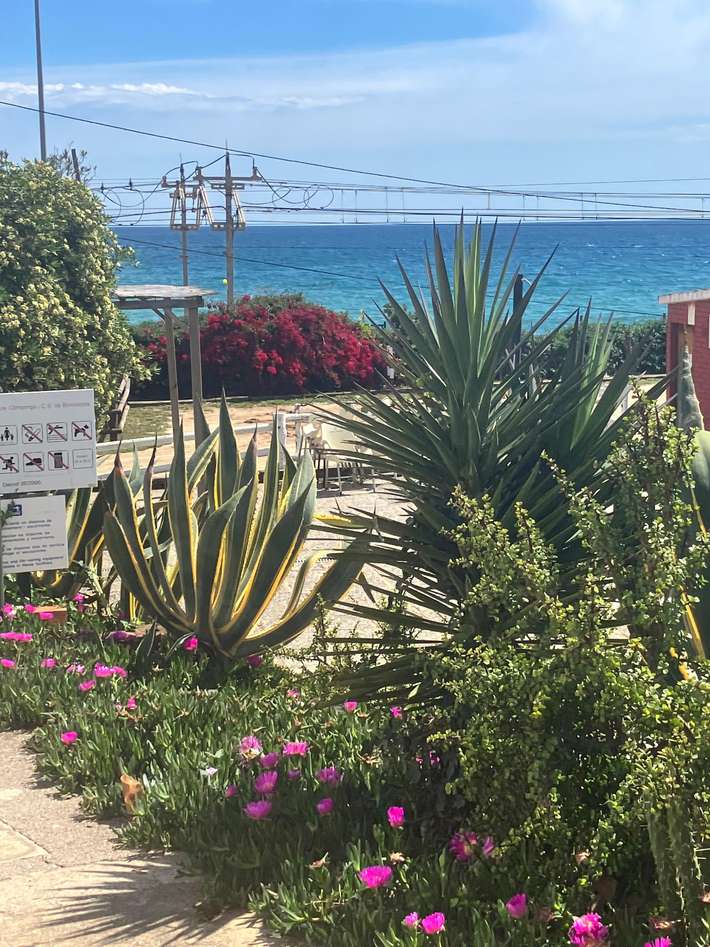 Camping Masnou Barcelona