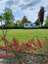 Camperplaats De Feroaring