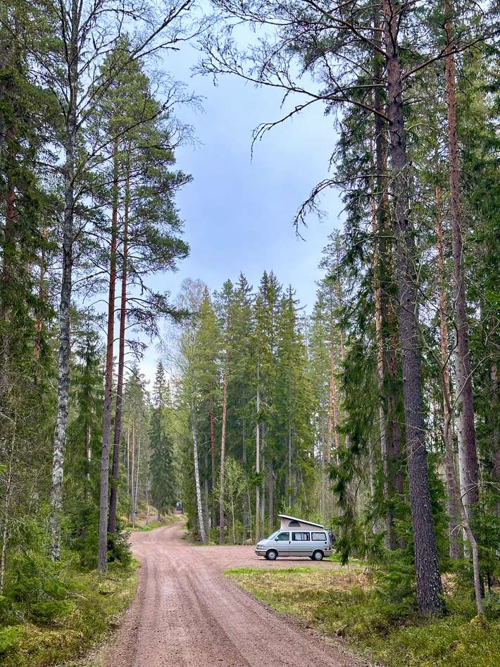 Nationaal park Norra Kvill