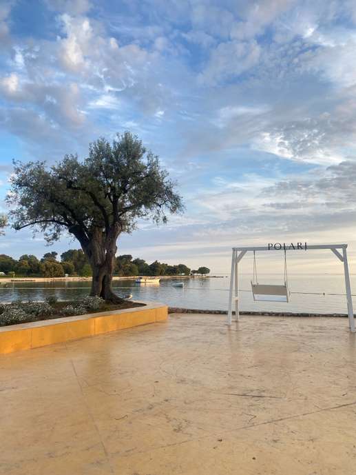 Añadió una foto a una ubicación
