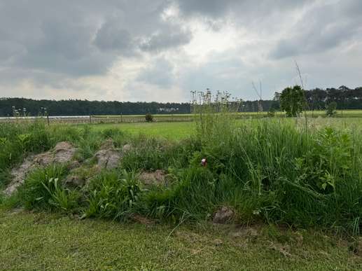 Added a photo to a location
