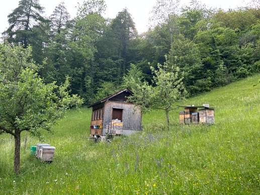 Added a photo to a location