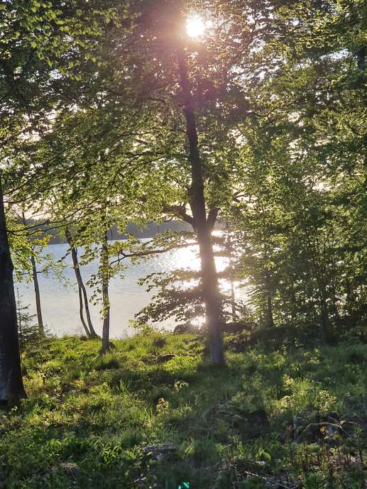 Added a photo to a location